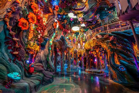 Meow Wolf .